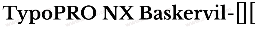TypoPRO NX Baskervil字体转换